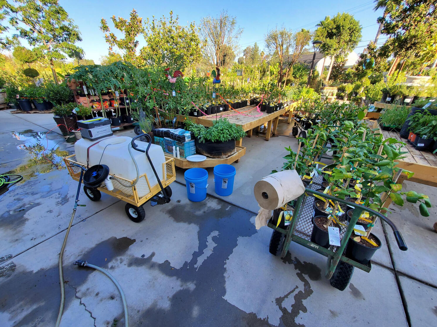 chemical spray tank surrounded by small plants